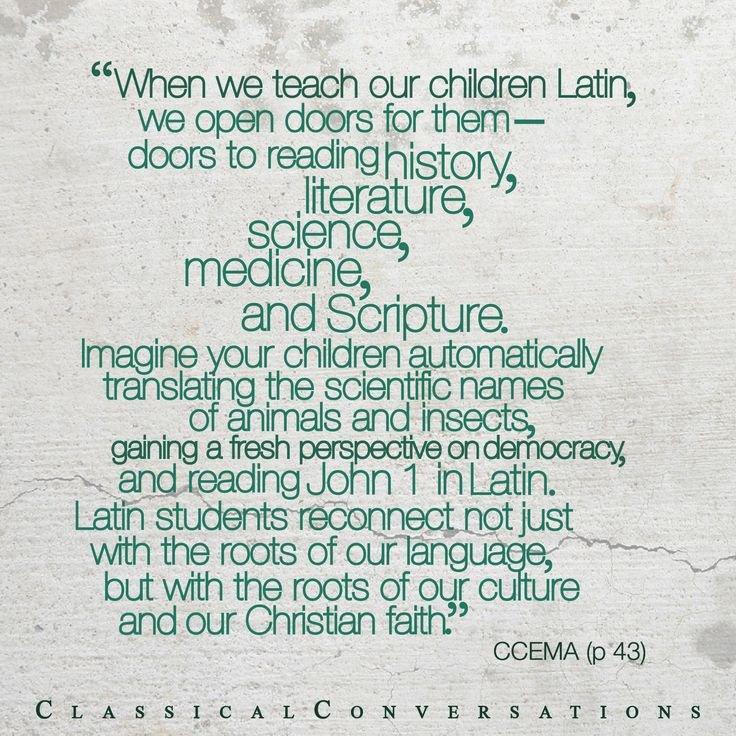 ClassicalConv's tweet photo. #Latin #Homeschooling #ClassicalConversations #education #LatinStudies #language https://t.co/jnFSxLSGbu