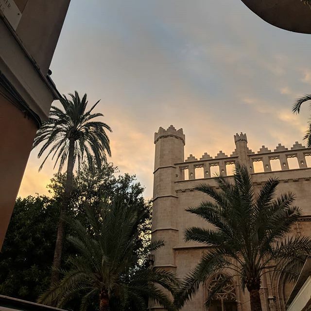 Thrifted Abode tweet media