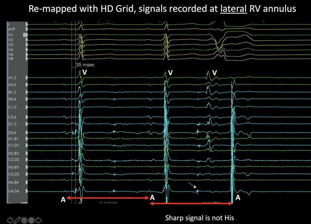Eric Lim tweet media