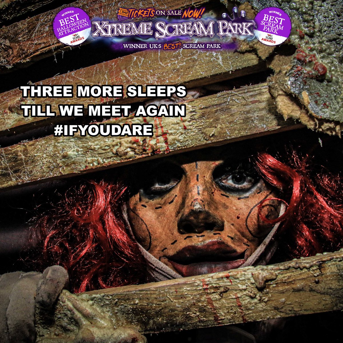 XtremeScreams's tweet photo. Not long to wait till we open again😎
SAVE £3pp CODE:FB19 #scream #halloween #scarepark #Leicester #scare #xtremescream #AwardWinning @ClubPBE @ScareTrack @ThemeParkBantz @KyleBPedley @bbcemt https://t.co/2eskFpaEl5