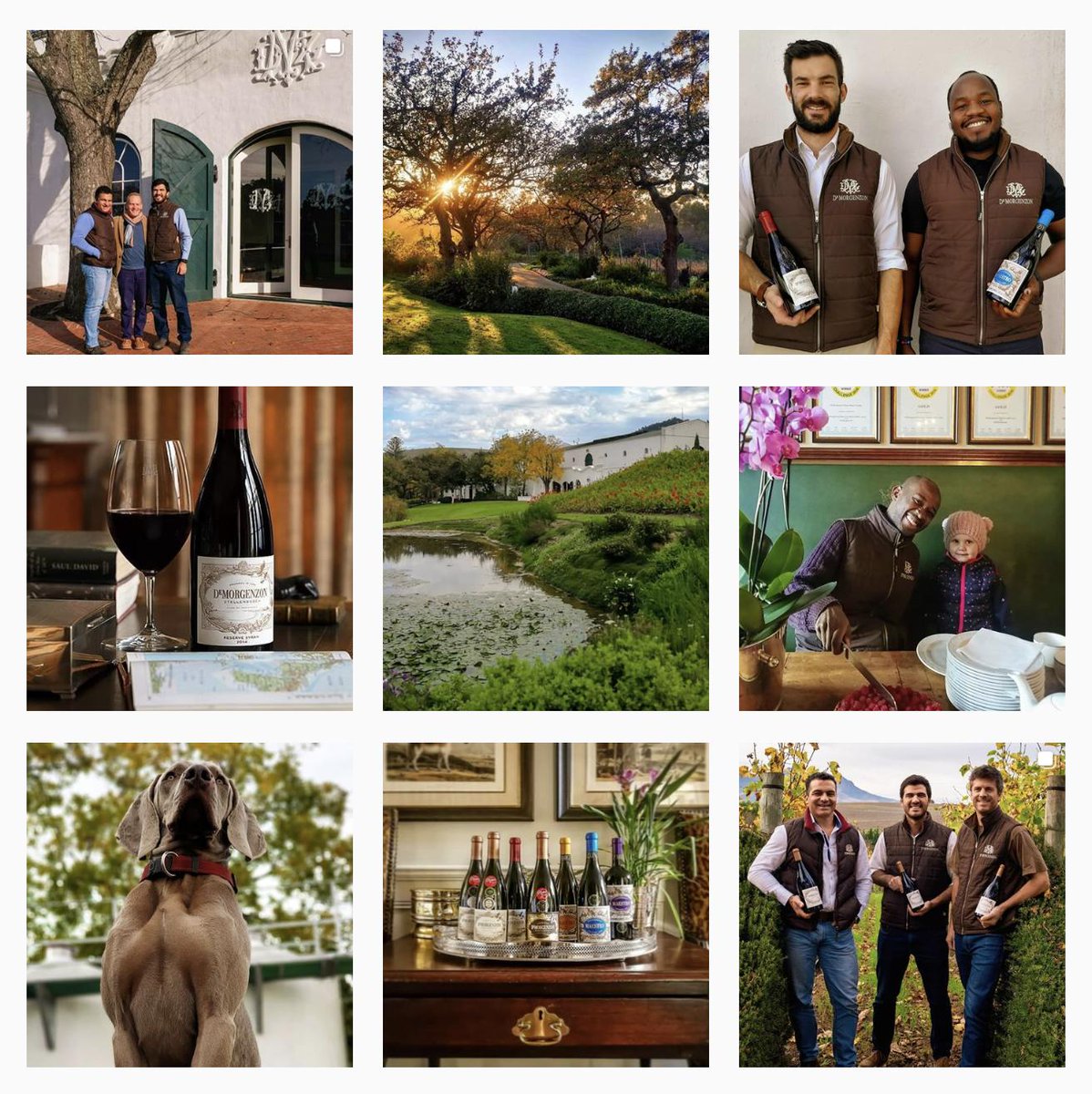 DeMorgenzon Wine Estate tweet media