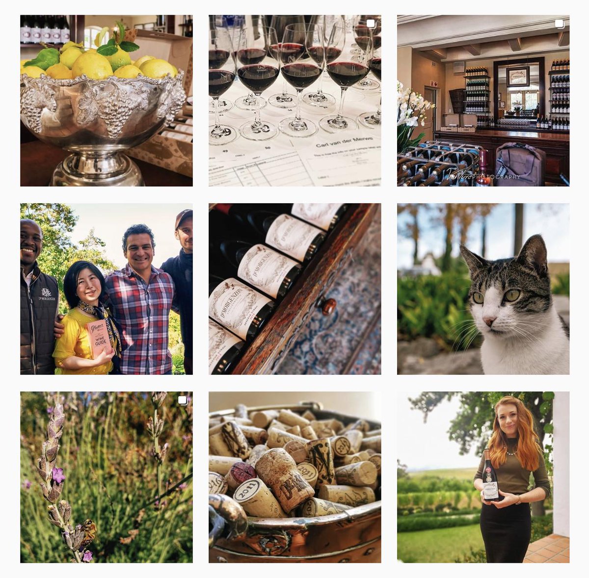 DeMorgenzon Wine Estate tweet media