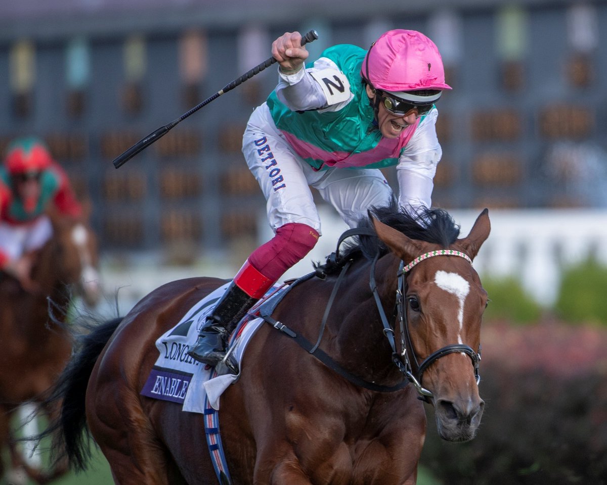 BloodHorse's tweet image. Slideshow: Breeders' Cup Turf: 1984-2018, A photographic review of the winners of the Breeders' Cup Turf bit.ly/35hotrx #BreedersCup #BCTurf #BreedersCupTurf @LonginesEq