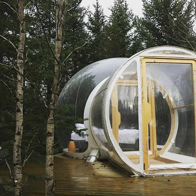 possandruby's tweet photo. We were lucky enough to enjoy a night in the @bubbleiceland such a unique experience 🤩 •
•
•
#possandruby #travel #explore #adventures #globalexplorer #travelling #traveller #instatravel #travelbug #travelblog #iamtb #glt #femaletravelbloggers  #wome… https://t.co/NKULW9HTsc https://t.co/FN7j0RiYy1