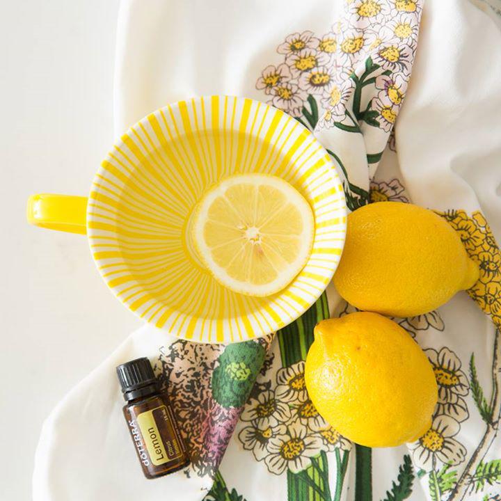 klfritch10's tweet photo. Weather is getting colder, so here's a tip you'll want to keep in mind for the upcoming dry, windy days. Use Lemon essential oil in an oral rinse to soothe the mouth and throat. https://t.co/wPUov9ZiKO