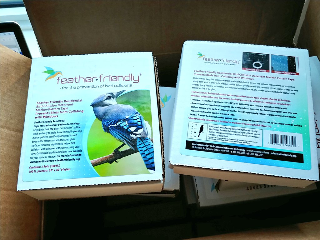 SafeWingsOtt's tweet image. We just got a new shipment of @FeatherFriendly marker-pattern tape. This week's warm weather is an ideal time to install it &amp;amp; save birds from #windowcollisions, so let us know if you want some. ($20 donation for a single roll, $50 for a triple pack.)