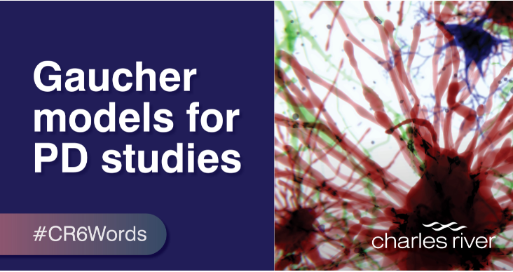 CRiverLabs's tweet photo. Can you describe your scientific poster in just 6 words? Comment below with your poster number and tag your response with #CR6Words. See you at #SfN19, booth 1043. Need examples? Our scientists’ short and sweet titles hint at what you’ll find at #SFN19. https://t.co/9bVGY0agEZ https://t.co/DcMNEpTBxJ