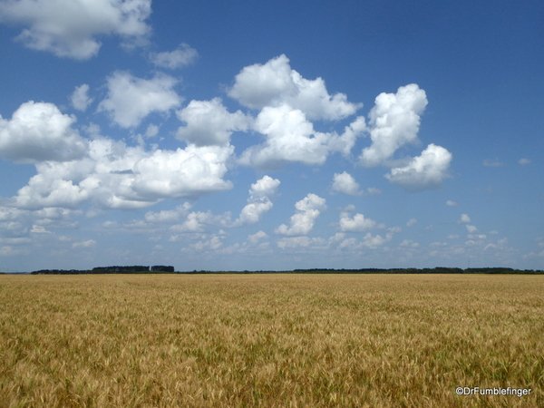 TravelGumbo's tweet photo. #CanadaBreadbasket #PrairieLands #Alberta #ttot
TravelGumbo archives
By Travelers, For Travelers
https://t.co/gEbVVWOFFV https://t.co/WaX8jQaRpz