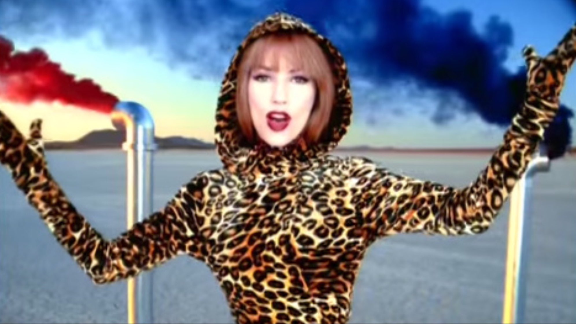 Shania twain cheetah outfit top