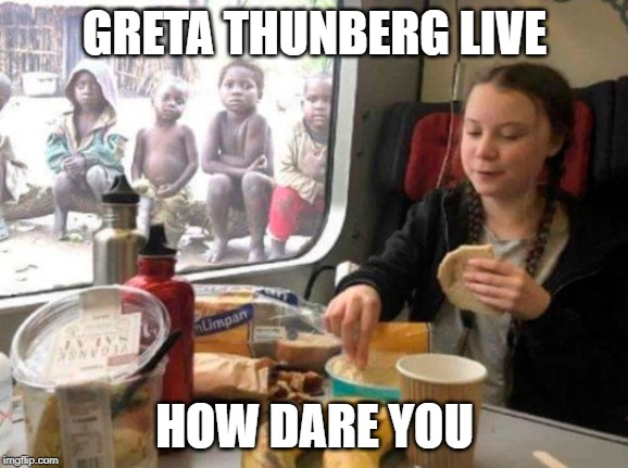 Greta Thunberg Memes (@SottoNoah) / Twitter