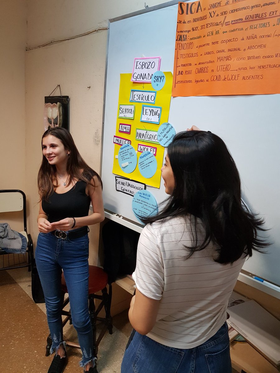 ezeqvarela's tweet image. Desarrollo del aparato genital, by Milena y Guadalupe. Excelente! #EmbrioCat1 #embriología #biologíadeldesarrollo #developmentalbiology #embryo @UBAMedicina @UBAonline #fmed