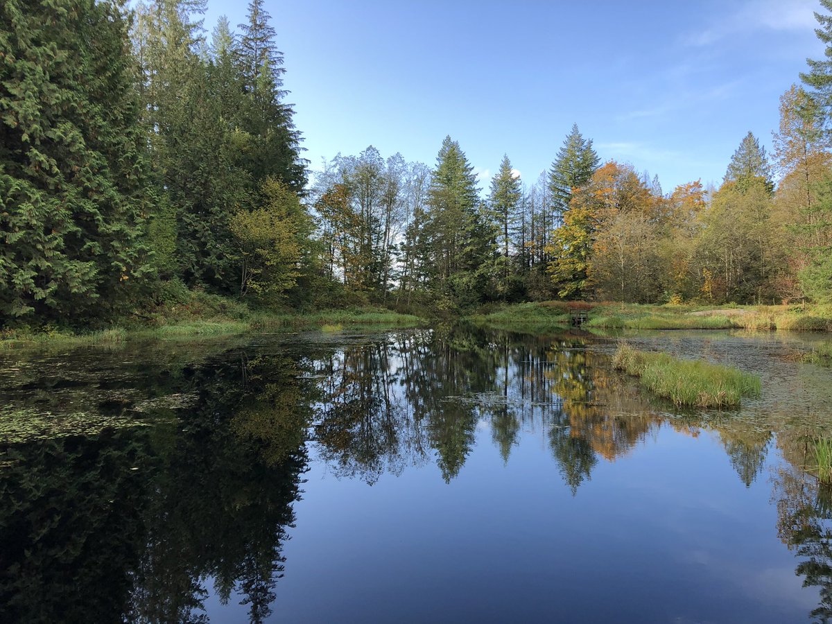 MikePalichuk's tweet photo. Minnekhada Regional Park Mood Walk 🙏 @LangleySS @CMHA_NTL #FocusProgram https://t.co/OA5RWyNcnS
