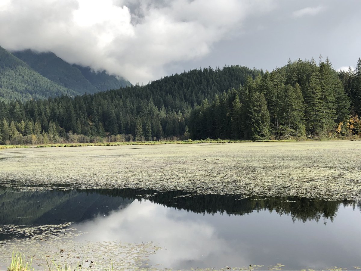 MikePalichuk's tweet photo. Minnekhada Regional Park Mood Walk 🙏 @LangleySS @CMHA_NTL #FocusProgram https://t.co/OA5RWyNcnS