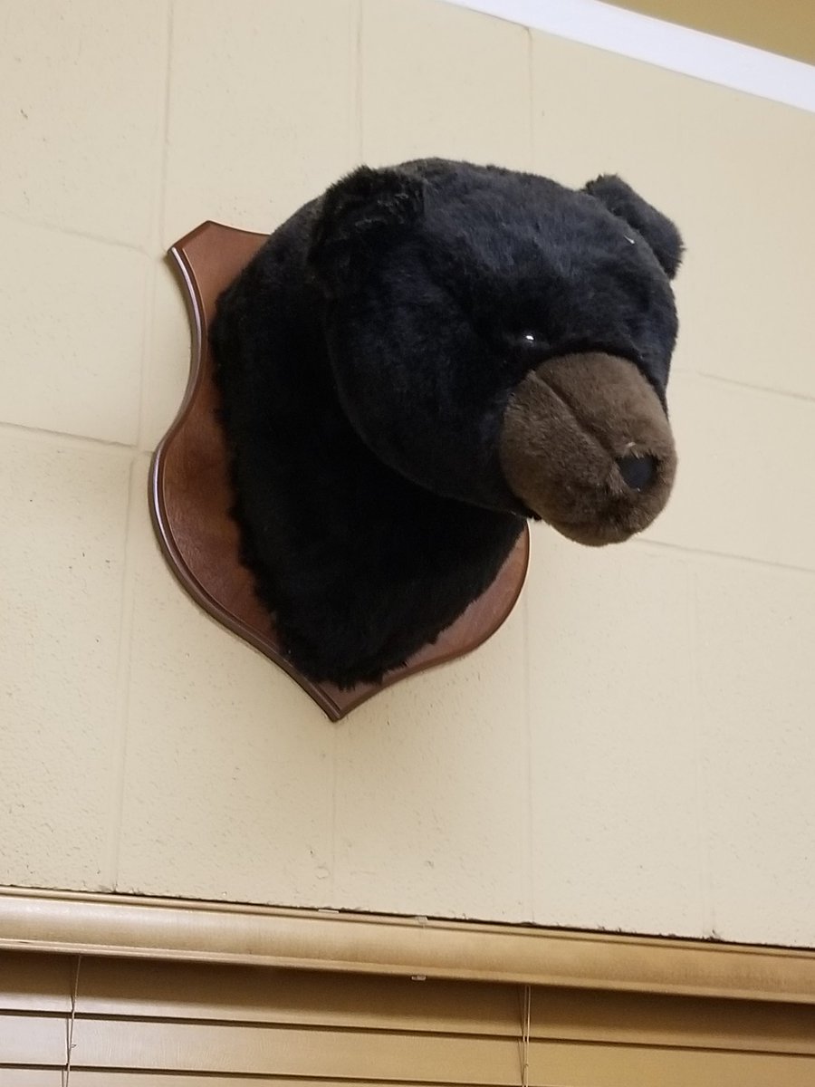marcmanuel82's tweet photo. Best taxidermist ever?? 🤣🤣🤣 https://t.co/PykGChf8BB