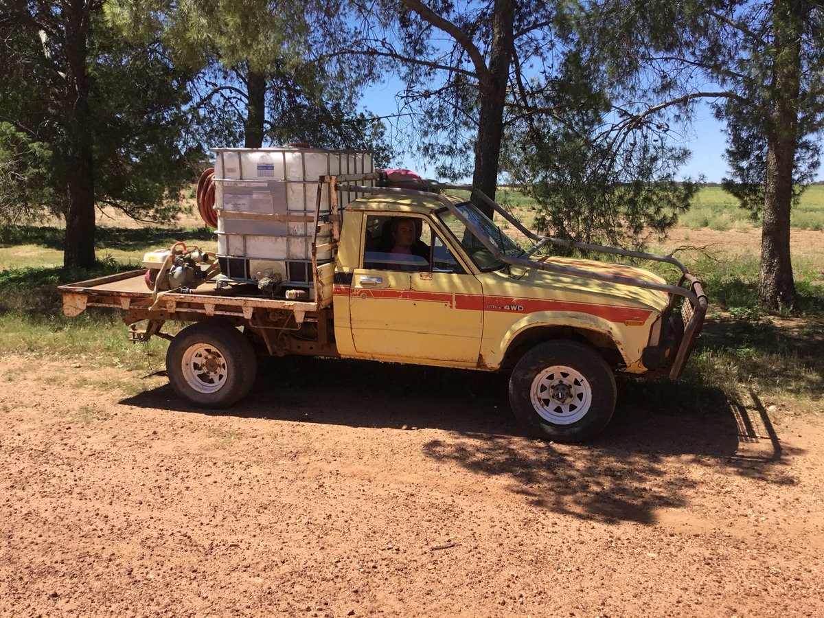 DanArunta's tweet image. It still goes not sure how many kms, third motor,second gearbox and still handy, brought new in 81