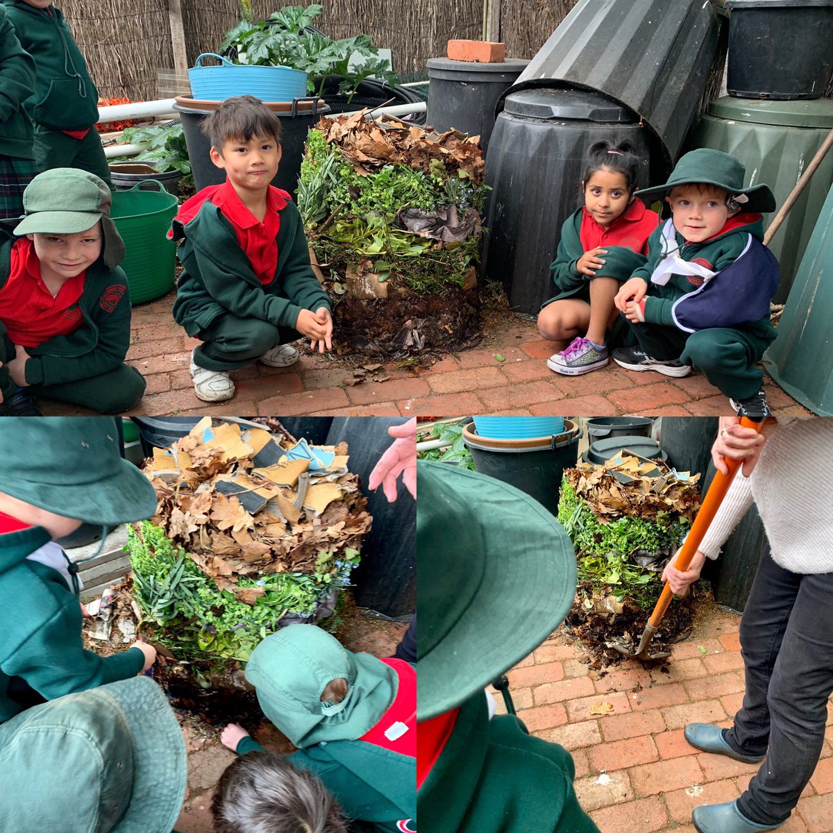 karenesutcliffe's tweet photo. Immersion Day- Preps visiting a local garden to investigate sustainable living: vegetable gardens, composts and feeding our scraps to the school chickens #sustainability #discoverylearning @CanterburyPrSc https://t.co/cMRiba81pN