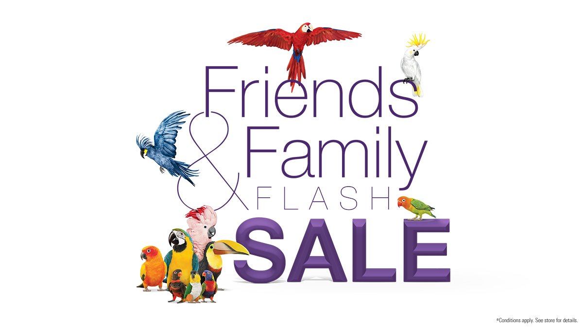 suew_4's tweet image. Don’t miss out on our Friends &amp;amp; Family flash sale! 👏 Head to a TELUS Store between October 10-14 to take advantage of exclusive bill credits and savings on TV, Internet, Mobility and more. Find your nearest store here: ow.ly/CtEJ101UKmq
