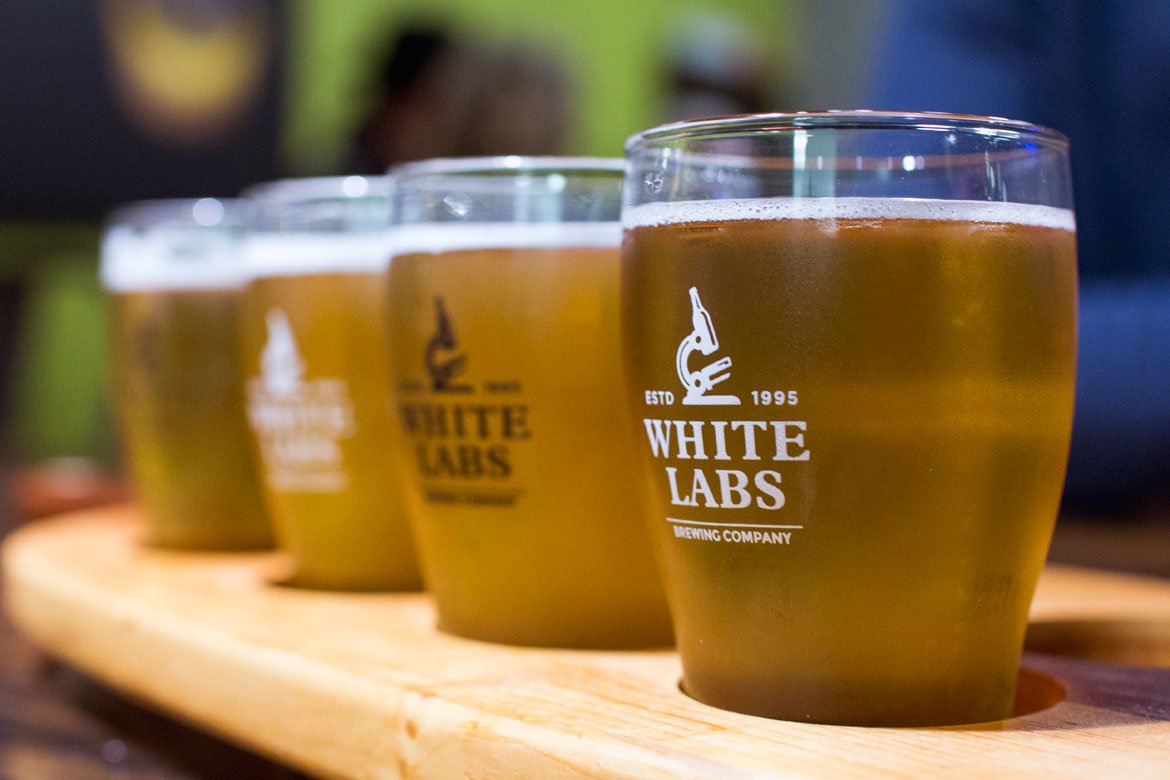 TheCraftyPint's tweet photo. Chris White is a hero to brewers worldwide.
@whitelabs has been supplying an ever-growing selection of yeasts to brewers for decades & continues to innovate.
MC of @newsouthales caught up with the pioneer when he was in Melbourne for #BrewCon19
https://t.co/zC4X5dYPpY https://t.co/WOM8G9jshI