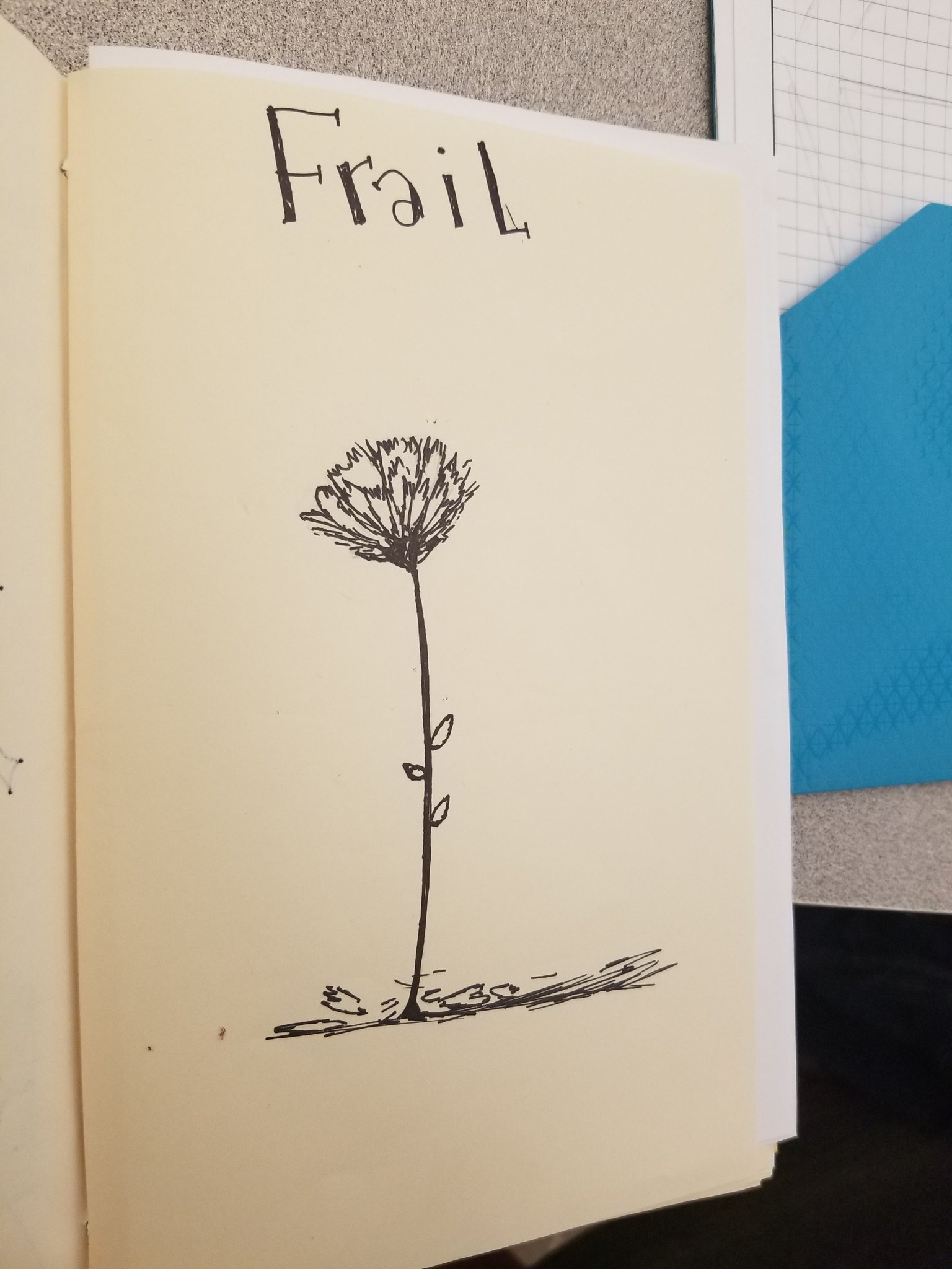 Mike Call On Twitter Inktober2019 Word Of The Day Frail Had A