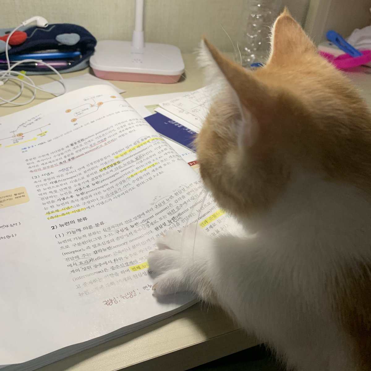 나 대신 열심히 공부 중🤓