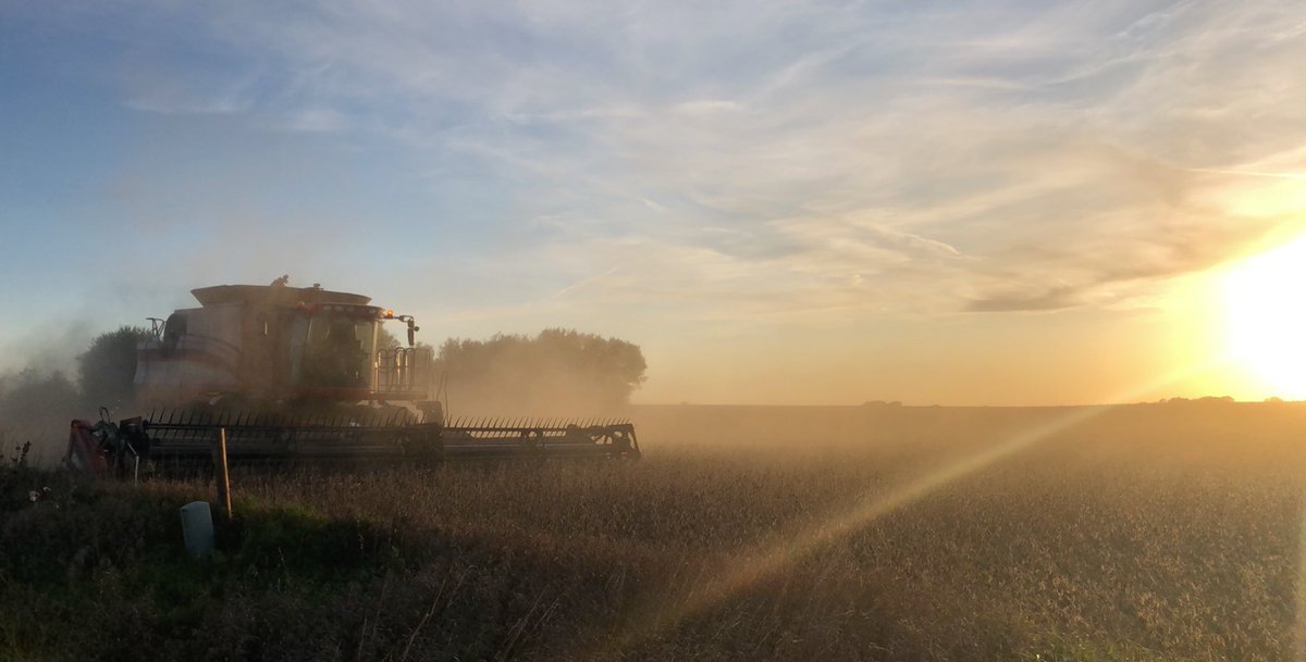 Tonight’s view ain’t too bad 🙌🏼#harvest19
