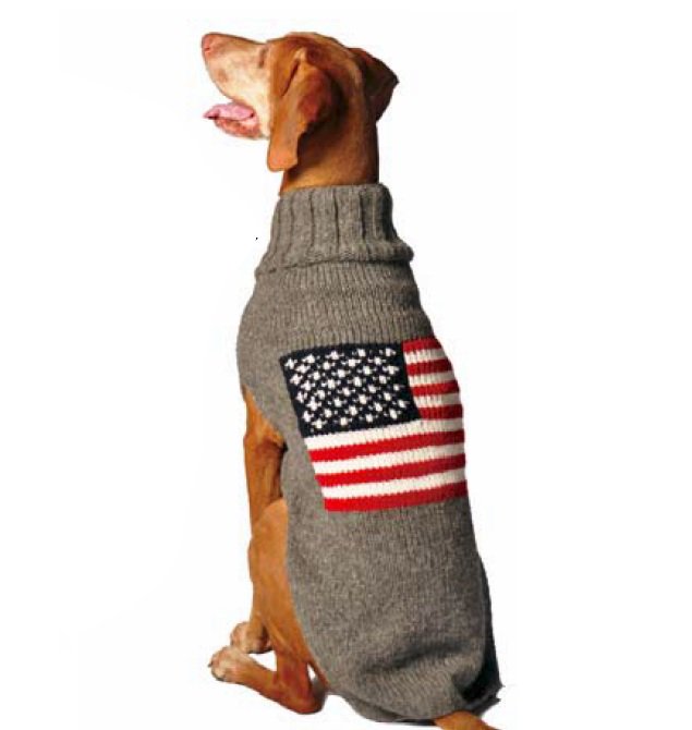 pokobbaby1's tweet photo. What are the new needs for #dogparents regarding #dogsweaters check out https://t.co/5sun3okucg #dogecommerce #dogparentsonline! https://t.co/WHhRF2msu9