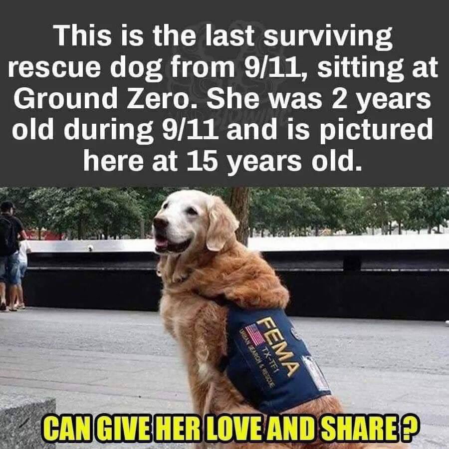 😍🙏  #RESPECT 🇺🇸🇺🇸