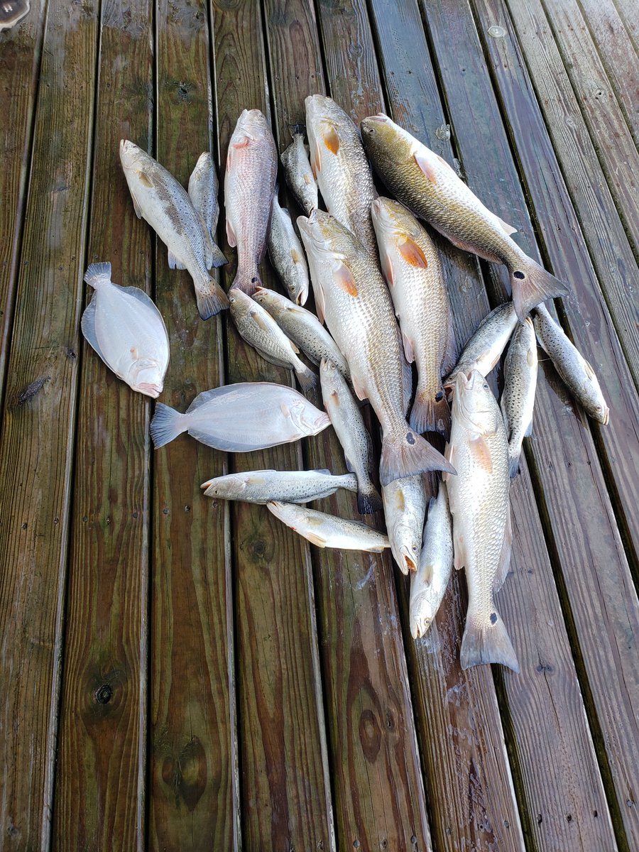 Huntingtec's tweet image. Sometimes you have to take a day off with the guys, today's catch here in Louisiana!