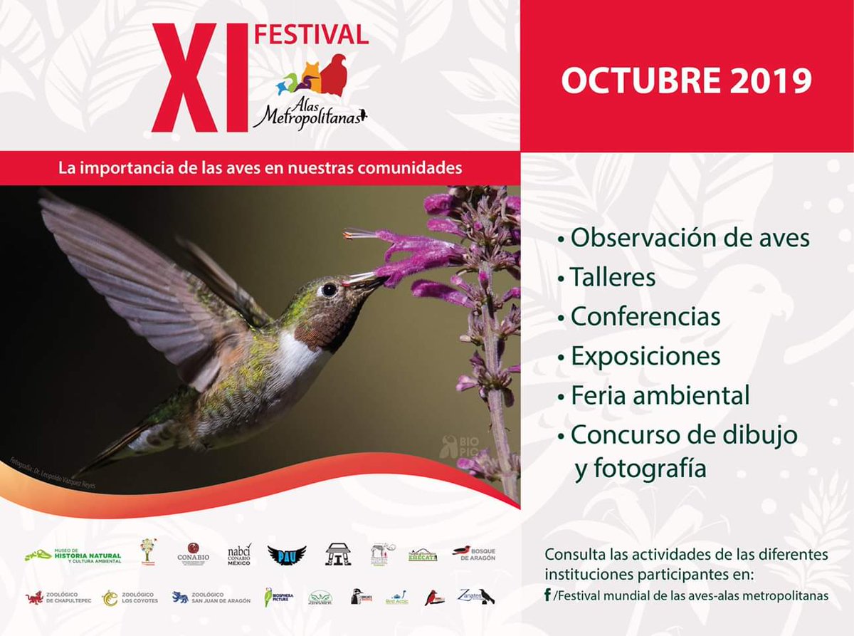 ZanatesRabiosos's tweet photo. Ya estamos en octubre y todos los fines de semana estaremos colaborando con #AlasMetropolitanas a través de pajareadas, talleres y feria ambiental https://t.co/Dl7SKYTYYr