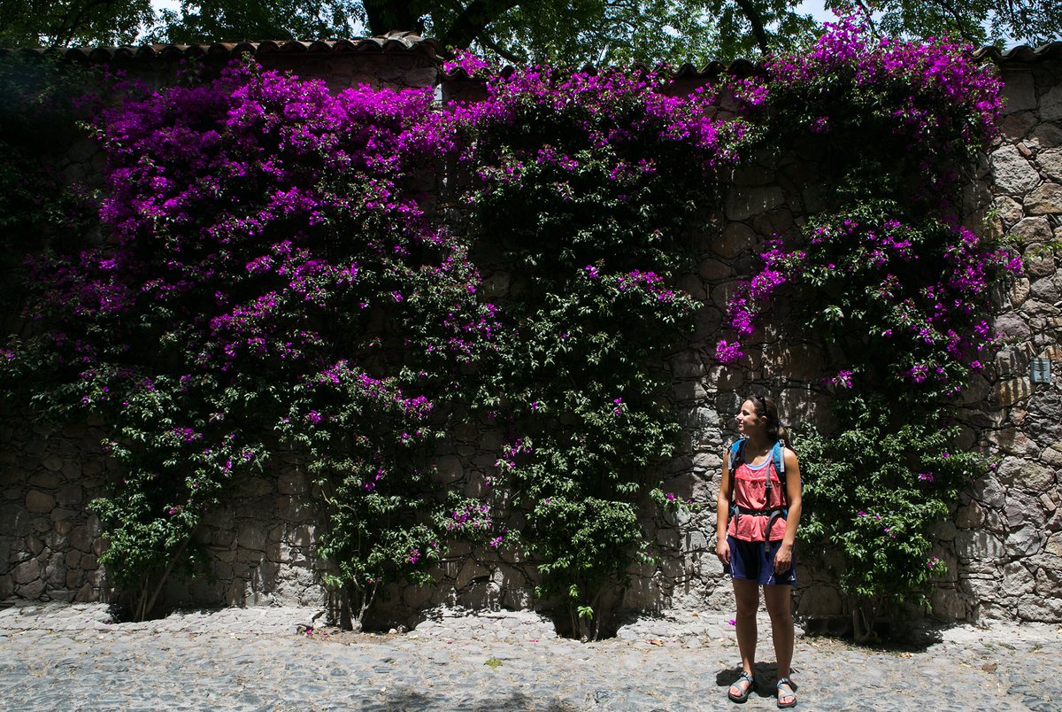 Kelsey Freeman tweet media