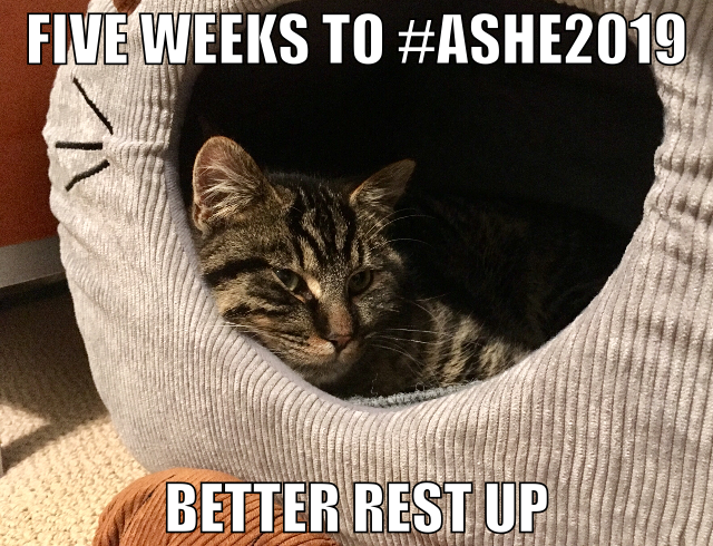 AshePresident's tweet photo. PSA from Kevin. Five weeks to #ASHE2019. #FirstCatofASHE https://t.co/gLZoh5TT2e