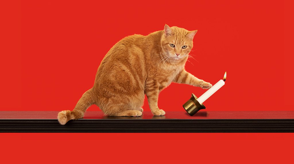 MattOInsurance's tweet image. Why renters insurance? Because your cat could cause a catastrophe. I can help protect the stuff landlords don't. Ask me for a quote today!