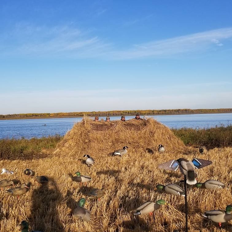 themoundblind's tweet photo. The Mound Blind brushed and killing... @DavidProffitt1 https://t.co/rAlwz9rXMW