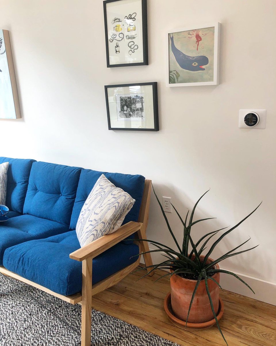 knownspaceco's tweet photo. We love plants. Filling the office with living plant friends ensures we always want to come to work.  #coworking #office #sanfrancisco #eventspace #innersunset #plants #plantsindoors #plantsindecor #plantsofinstagram #plantsmakepeoplehappy #plantpeople #plantdad #plantmom https://t.co/39tX9g6qDW