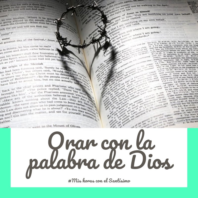 ValeriaBoccacci's tweet photo. MIS HORAS CON EL SANTISIMO
Sabías que leyendo o escuchando la Palabra de Dios durante media hora y cumpliendo con las condiciones de confesión, comunión eucarística y rezo por las intenciones del Papa, podes ganar indulgencias plenarias para vos o algún alma del purgatorio? https://t.co/GGpaN6Me6r