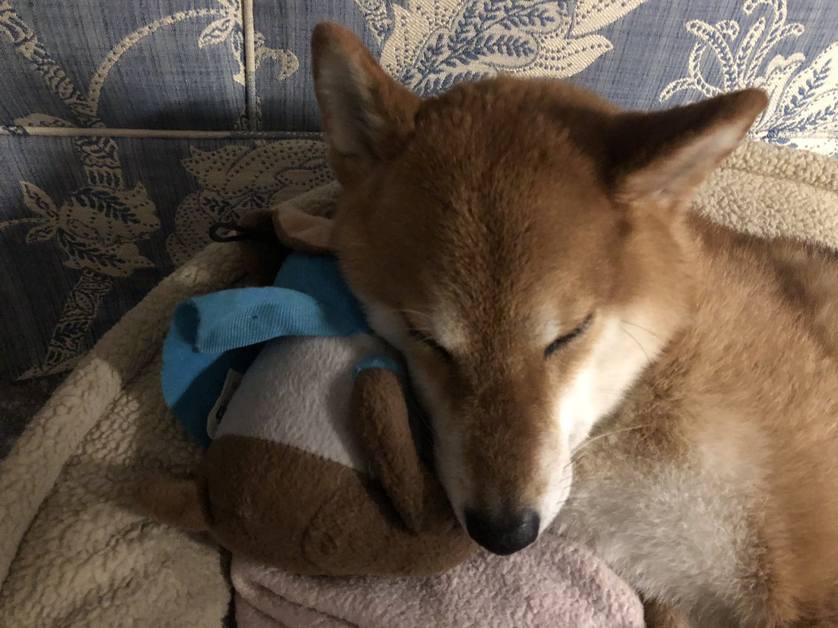 🎶I get by with a little help from my friends