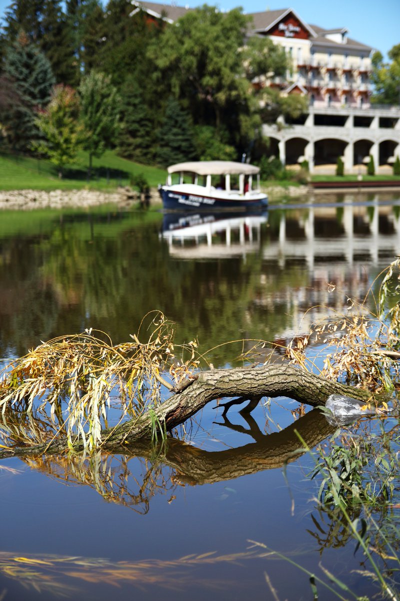 Tomatodroppings's tweet photo. Reflection.
.
.
.
#PureMichigan #Michigan #Frankenmuth #CassRiver #heritagePark #River #Nature #Reflection #Canon https://t.co/V4jbGdW5YO