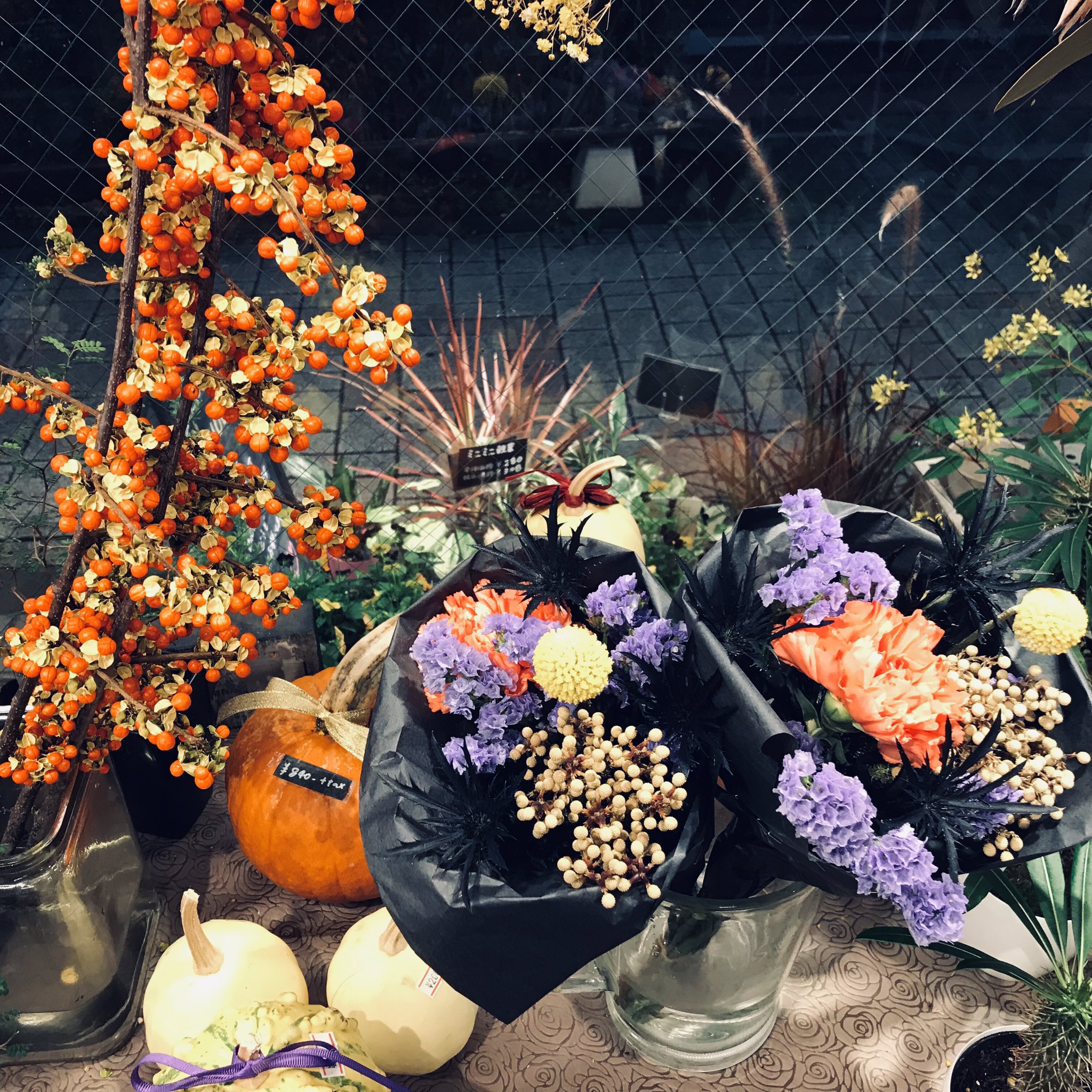 טוויטר 東伏見 Hana Toyo בטוויטר ハロウィンのブラックブーケです コウモリのマントの中に オレンジとパープルの花が入っているイメージの花束です このままドライフラワーにもなりますよ ホッチキスの針のイタイ感じが個人的にツボ 東伏見 ブラック