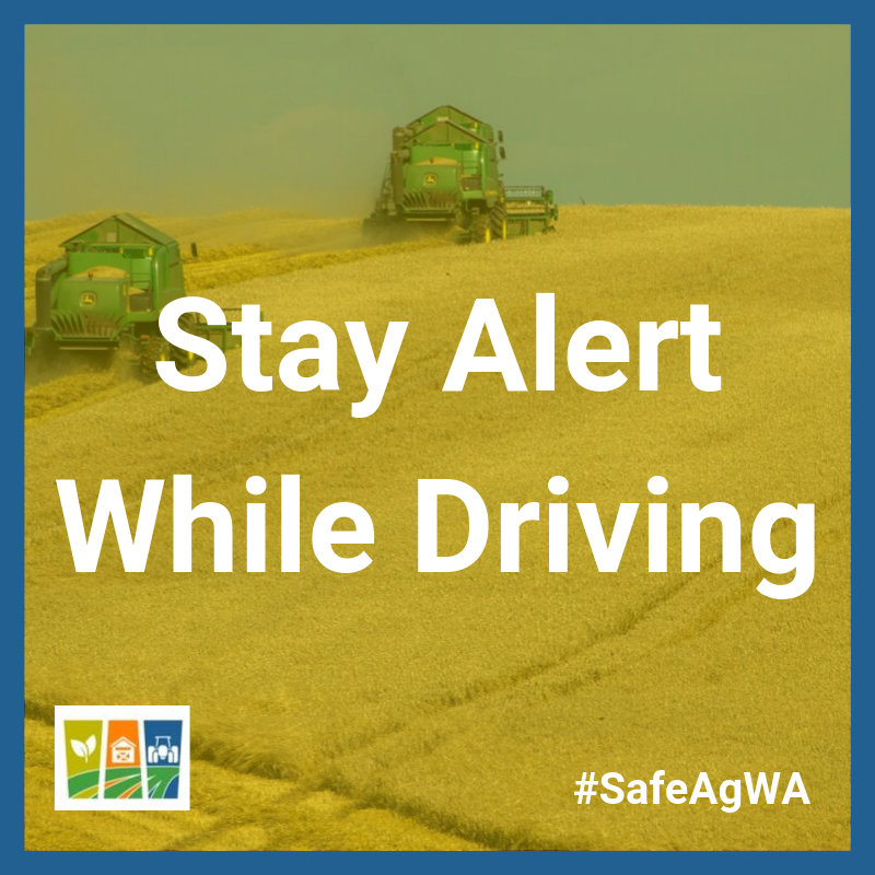 SafeAgWA's tweet photo. Did you know that over 37% of work related fatalities were from a vehicle accident? 

Whether you are out working in the fields, or driving down the highway on your way back from town, SafeAgWA asks you to stay alert and aware of your surroundings. #safeagwa #agaustralia https://t.co/HXej5Raude