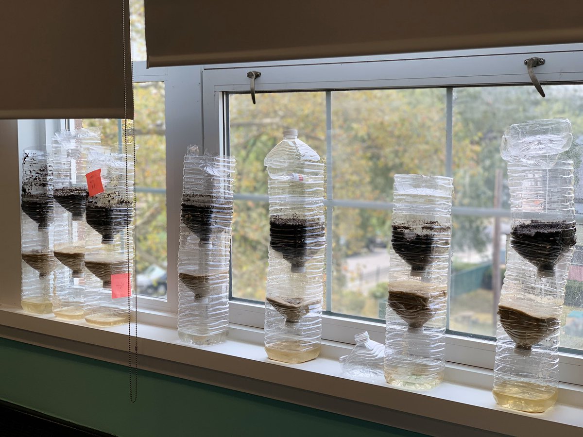 thesciencediva's tweet photo. My AP Environmental Science students Eco columns in the making! Stay tuned! #nycpublicschool #APForAll #APES #portrichmondhs #mathforamerica https://t.co/mfPvwZ8tcz