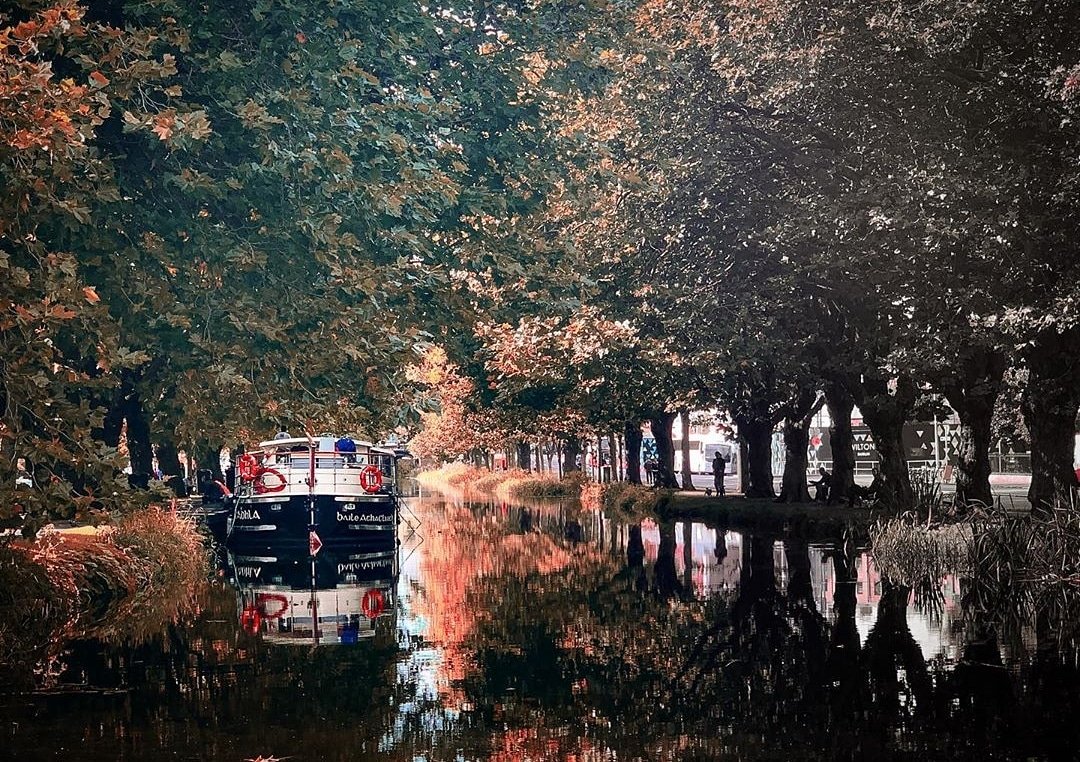 MVCadhla's tweet photo. Experience the beauty of the #GrandCanal this week, with a two hour dinner cruise on board the #CanalBoatRestaurant. Cruises operating this Wednesday, Thursday, Friday, Saturday &amp; Sunday, starting at 8pm. Pre-booking essential. 

Pic by Ritchie Hogan

#lovedublin #visitdublin https://t.co/FCR1Z9WNOu