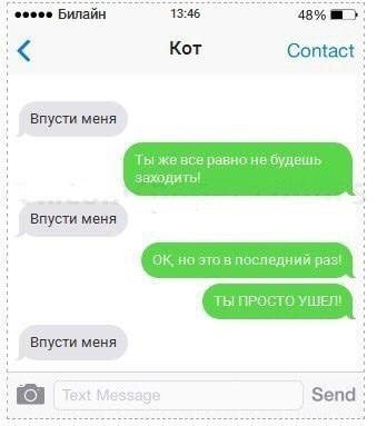 Alexand88545289's tweet photo. Ecли бы кoты yмeли отправлять SMS https://t.co/5oYG0wzPcg