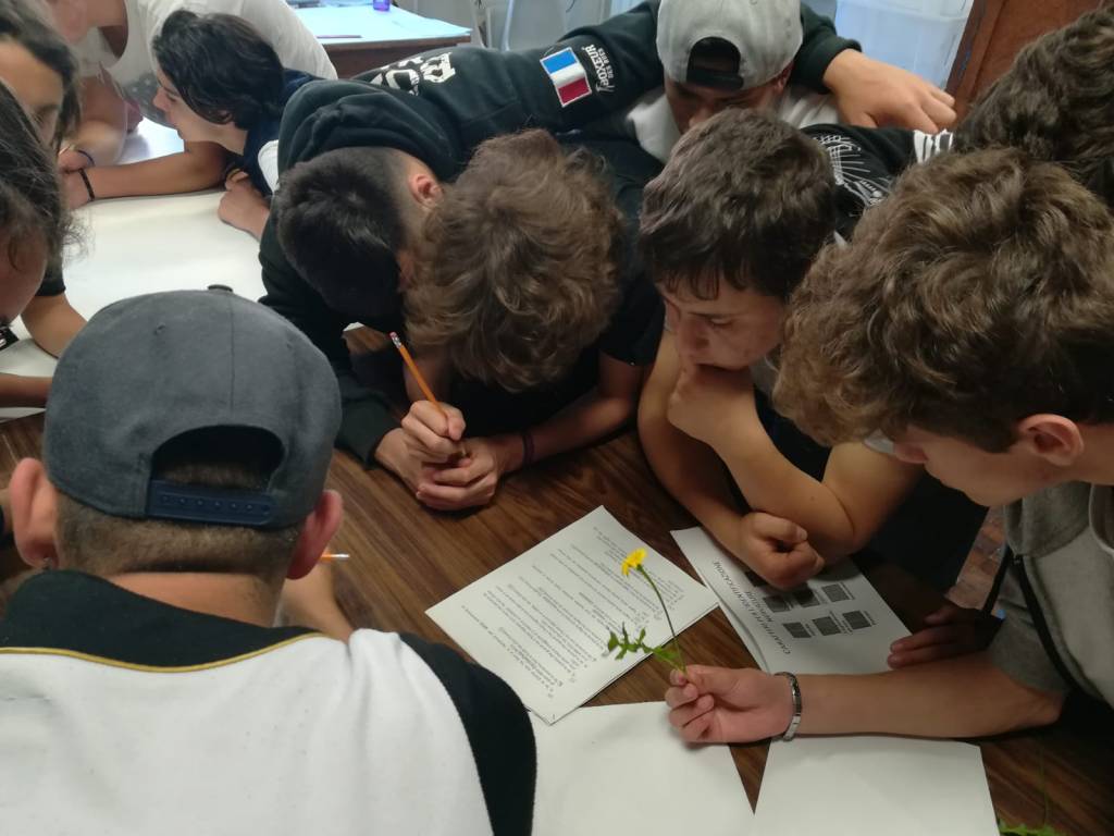 Biomega educa associazionearteco.wordpress.com/2019/10/16/bio…