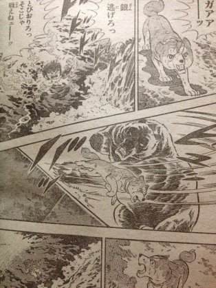 レッドキング 俺達ゃ脳筋野郎 モサ 漫画 銀牙 流れ星銀 に登場する隻腕のツキノワグマ 人喰い熊 ではないが 営林署の職員を7人も殴り殺すパワーと凶暴性を併せ持つ岩手からの流れ熊 闘犬王 紅桜と壮絶な死闘を繰り広げ ザイルに体を縛り付けた紅桜 レッドキング 俺達ゃ脳筋野郎 モサ 漫画 銀牙 流れ星銀 に登場する隻腕のツキノワグマ 人喰い熊 ではないが 営林署の職員を7人も殴り殺すパワーと凶暴性を併せ持つ岩手からの流れ熊 闘犬王 紅桜と壮絶な死闘を繰り広げ ザイルに体を縛り付けた紅桜