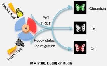 ACES_Journals's tweet image. Qiang Zhao et al. Review #ElectroluminochromicMaterials and Devices Based on #MetalComplexes doi.wiley.com/10.1002/asia.2…