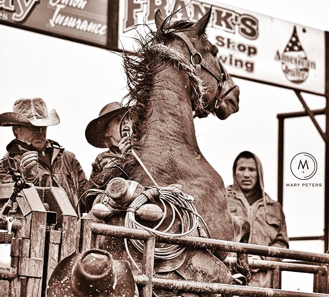 photompeters's tweet photo. An athlete is a normal person with a gift of an undying passion to be the best and achieve greatness. 

@RideTV 
@MC_BHS 
@BozemanSpirits https://t.co/M9dZmjrk62