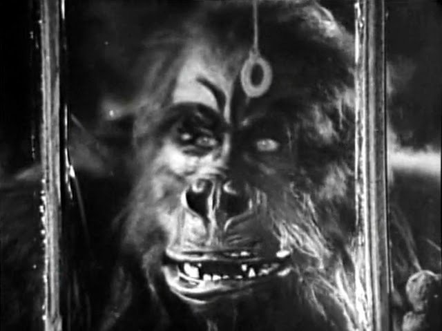 EOFFTV's tweet photo. The Ape (1940) is a ridiculous "mad scientist" melodrama with a ludicrous plot about a mad scientist disguising himself as the eponymous ape to commit murders. Not even Boris Karloff can do much to save this one... https://t.co/NUVpjS2amx https://t.co/ayiafytxob