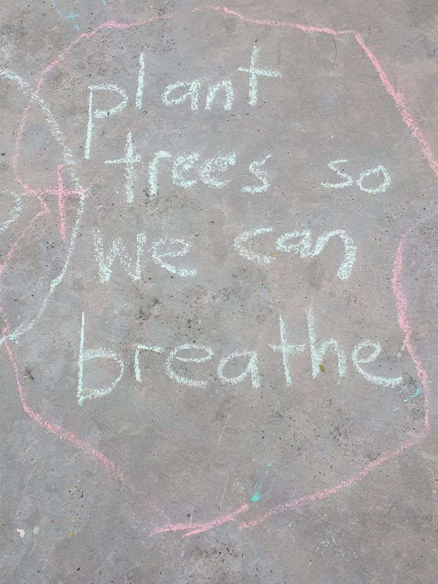 LuttleKiwi's tweet image. K2 expressing the SDG&apos;s through chalk drawings#uniqleyunis #teachingsdgs