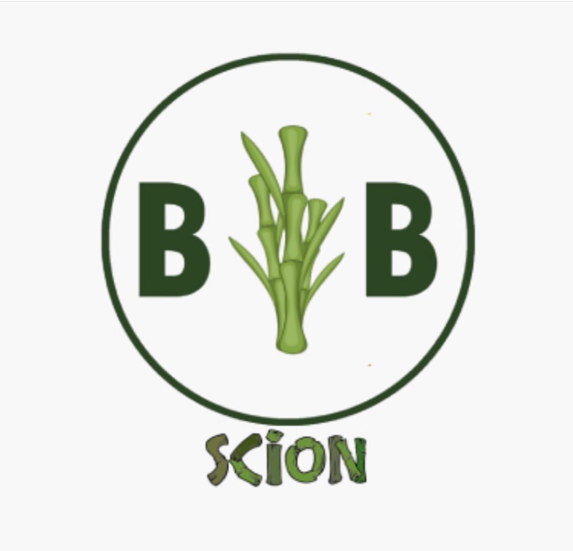 ScionYE's tweet photo. Introducing Scion, working as a part of the Young Enterprise Program. At Scion, we sell Bamboo Bundles that help preserve the environment, now and for the future #BB #Bamboo #YoungEnterprise https://t.co/F7SqIWdSpz