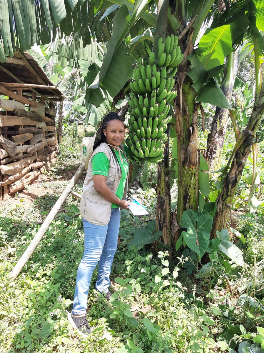 WHH_Kenya's tweet photo. As an organisation we capacity build and equip farmers with necessary knowledge and equipment so as to ensure they get bumper harvest in their farms #WorldFoodDay #EndHungerKe #HungerWalkKe . Join the walk to support hunger stricken communities. @PacidaKenya @Welthungerhilfe https://t.co/E9esdoiIpt